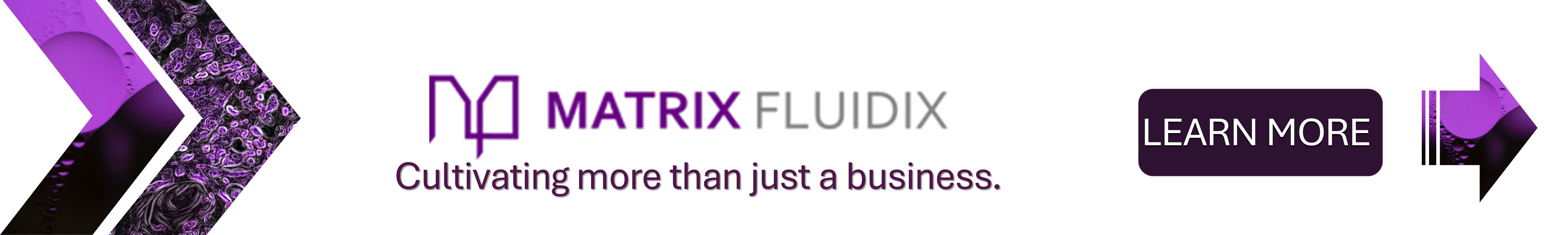 Acadium - Free Marketing Courses & Digital Apprenticeships